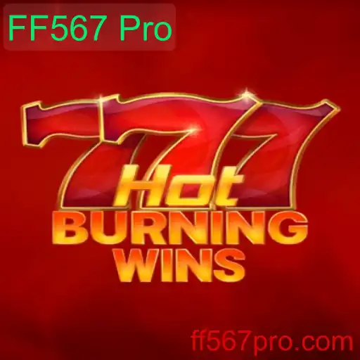 Explorando o Mundo Excitante de HotBurningWins e o Impacto do FF567 Pro