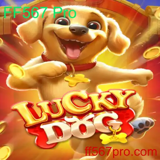 Explorando o Mundo Empolgante de LuckyDog: Um Guia Completo